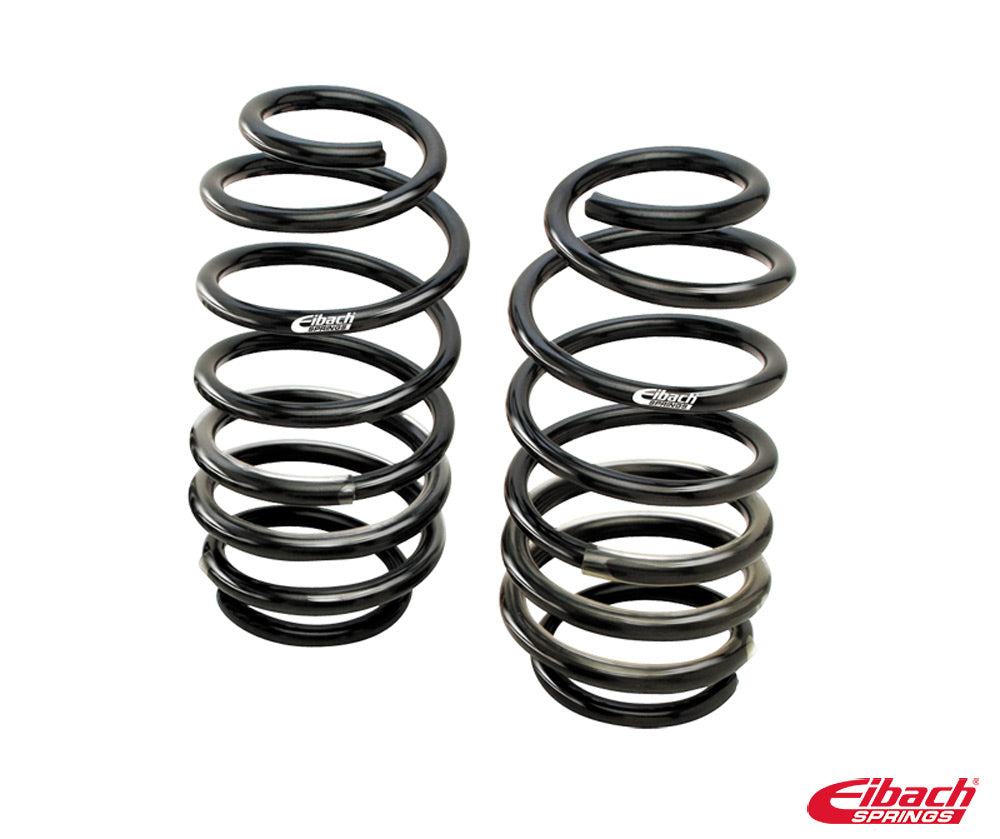 PRO-KIT (Set Of 2 Rear Springs)